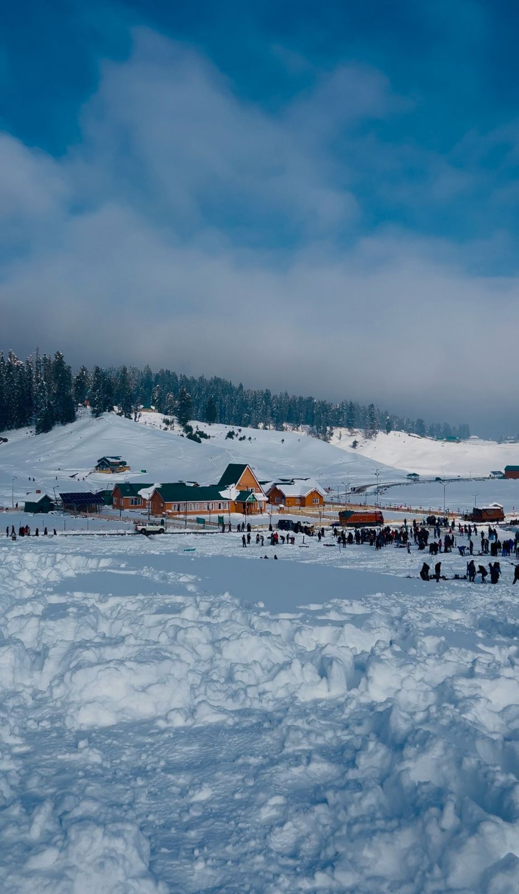 landscape Image